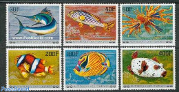 Comoros 1977 Fish 6v, Mint NH, Nature - Fish - Vissen