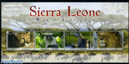 Sierra Leone 2009 Wildlife 4v M/s, Mint NH, Nature - Animals (others & Mixed) - Cat Family - Hippopotamus - Monkeys - Other & Unclassified