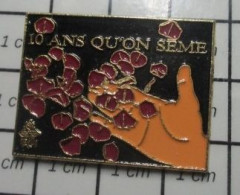 121 Pin's Pins / Beau Et Rare / ASSOCIATIONS / PARTI SOCIALISTE PETALES DE ROSE 10 ANS QU'ON SEME - Asociaciones