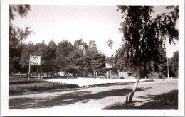 ALGERIE - CAMP DU LIDO - CARTE PHOTO - Terrain De Basket  - Other & Unclassified