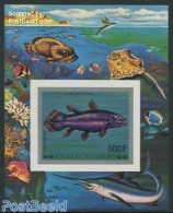 Comoros 1977 Fish S/s, Imperforated, Mint NH, Nature - Fish - Vissen