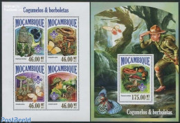 Mozambique 2013 Mushrooms 2 S/s, Mint NH, Nature - Butterflies - Mushrooms - Hongos