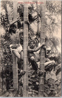 CEYLAN - Tree Climbers Ceylan  - Sri Lanka (Ceylon)