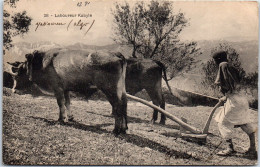 ALGERIE - Laboureur En Kabyle. - Sonstige & Ohne Zuordnung