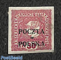 Poland 1919 30H, Stamp Out Of Set, Unused (hinged) - Neufs