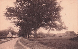 Schilde - 's-Gravenwezel -  Kattenberg - Schilde