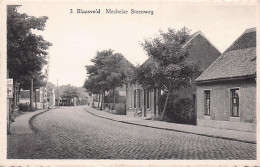Willebroek - BLAASVELD -   Mechelse Steenweg - Willebrök