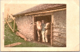 SUISSE -NEUCHATEL - Fermier Et Ses Vaches - Altri & Non Classificati