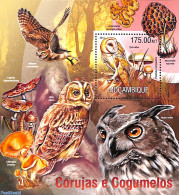 Mozambique 2013 Owls & Mushrooms S/s, Mint NH, Nature - Mushrooms - Owls - Pilze