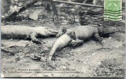 BELGIQUE - BRUXELLES - Incendie Aout 1910, Deux Victimes  - Other & Unclassified