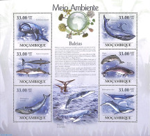 Mozambique 2010 Whales 6v M/s, Mint NH, Nature - Sea Mammals - Mozambico