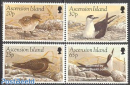 Ascension 1994 Sterna Fuscata 4v, Unused (hinged), Nature - Birds - Ascension