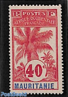 Mauritania 1906 40c, Stamp Out Of Set, Unused (hinged), Nature - Trees & Forests - Rotary, Club Leones