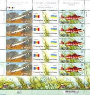 Ukraine 2007 Joint Issue Moldova M/s, Mint NH, Nature - Various - Fish - Joint Issues - Fishes