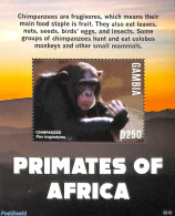 Gambia 2022 Primates Of Africa S/s, Mint NH, Nature - Animals (others & Mixed) - Monkeys - Gambia (...-1964)