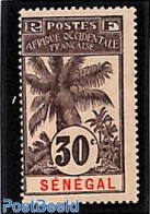 Senegal 1906 30c, Stamp Out Of Set, Unused (hinged), Nature - Trees & Forests - Rotary Club