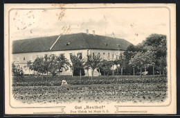 AK Steyr, Gut Resthof In Gleink  - Other & Unclassified