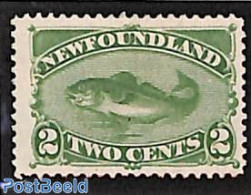 Newfoundland 1880 2c, Stamp Out Of Set, Without Gum, Unused (hinged), Nature - Fish - Fishes