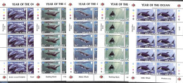 Isle Of Man 1998 Int. Ocean Year 5 M/s, Mint NH, Nature - Sea Mammals - Man (Ile De)