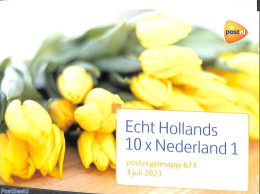 Netherlands 2023 Echt Hollands 10v, Presentation Pack 673, Mint NH - Unused Stamps