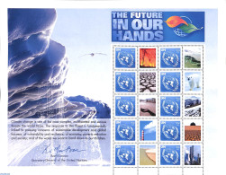 United Nations, New York 2007 The Future In Our Hands M/s, Mint NH, Nature - Environment - Environment & Climate Protection