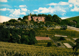 73242136 St Martin Rheinpfalz Kropsburg St Martin Rheinpfalz - Other & Unclassified