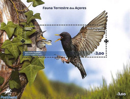 Azores 2023 Fauna S/s, Mint NH, Nature - Birds - Azores