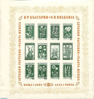 Bulgaria 1953 Flowers S/s, Unused (hinged), Nature - Flowers & Plants - Unused Stamps