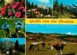 73241941 Strobl Wolfgangsee Postalm Strobl Wolfgangsee - Other & Unclassified