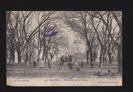 CPA - 46 - Martel - Promenade De La Callopie - Animée - Circulée En 1910 - Autres & Non Classés