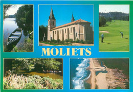 Moliets - Multivues   Y 238 - Andere & Zonder Classificatie