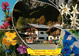 73241087 Kirchdorf Tirol Unterkunftshaus Griesneralm Alpenflora Naturschutzgebie - Sonstige & Ohne Zuordnung