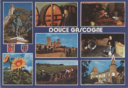 X8657 GERS DOUCE GASCOGNE D' ARTAGNAN TOUR D' ARMAGNAC LA ROMIEU LUPIAC CHATEAU CASTELMORE VIGNE VIN VIGNES VINS - Altri & Non Classificati