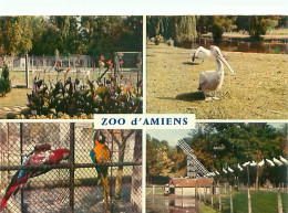 Amiens - Le Zoo     Y 240 - Amiens