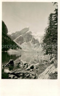 13724056 Seealpsee Saentis IR Uferpartie Am See Appenzeller Alpen  - Other & Unclassified