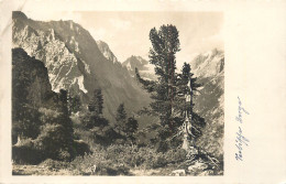 Switzerland Postcard Mountain Scene - Lucerna