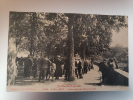 La Haute Garonne - St Gaudens - Promenade Des Maronniers - Saint Gaudens