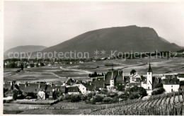 13710726 Auvernier Colombier NE Panorama  - Other & Unclassified