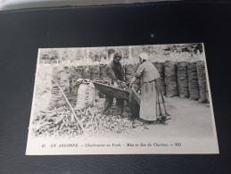 B1/237- EN ARGONNE - Charbonnier En Forêt.Mise En Sac Du Charbon - Sonstige & Ohne Zuordnung