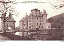 15 VUE GENERALE DU CHATEAU DE PESTEILS A POLMINHAC - Sonstige & Ohne Zuordnung