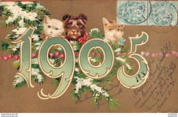 1905 CARTE POUR LA BONNE ANNEE AVEC CHATS ET CHIEN - New Year