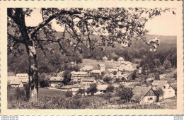 67 HOHWALD VUE GENERALE PANORAMIQUE - Autres & Non Classés