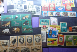 Lot Varia Ruim  Stuks   Vnl Postkaarten Cpsm En Cpa Ook  Recentere Thema Publi Kaarten , Fotokaarten En Diversen Items - 500 Postales Min.