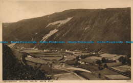 R039277 Aberystwyth. Rheidol Valley. White Stag. Photochrom - Monde