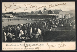 CPA Pietermaritzburg /Natal, Show Grounds And Pavilion  - South Africa