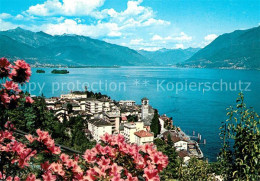 13601666 Brissago Lago Maggiore Panorama Brissago Lago Maggiore - Autres & Non Classés