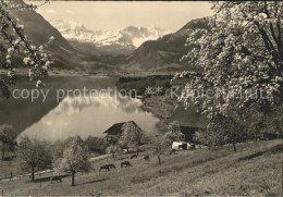 11646564 Sarnen Fruehling Am Sarnersee Sarnen - Andere & Zonder Classificatie