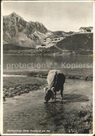 11646529 Melchsee-Frutt Hotel Reinhard Am See Kuh Melchsee-Frutt - Other & Unclassified