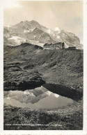 Switzerland Postcard Kleine Scheidegg Jungfrau - Autres & Non Classés