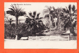 32960 / ⭐ LISBOA Lisbonne (•◡•) Jardim Botanico ◉ Jardin Botanique 1910s ◉ Ediçao COSTA 295 Rua Do OURO 1068 - Lisboa